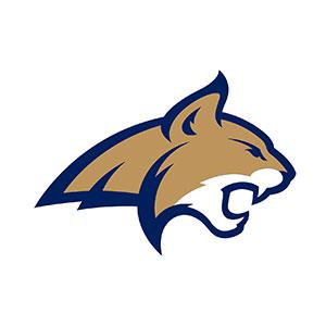 Montana Logo