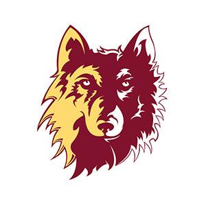 Northern State Logo