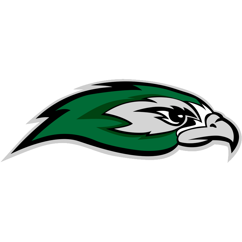 Silverhawks Logo